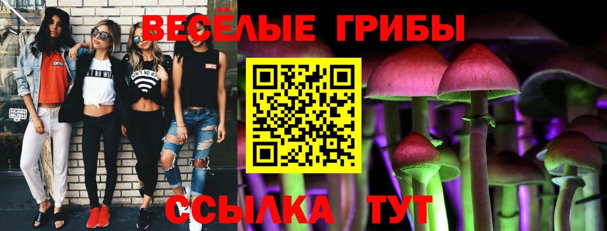 Галлюциногенные грибы GOLDEN TEACHER  Вход с VPN  Белово 