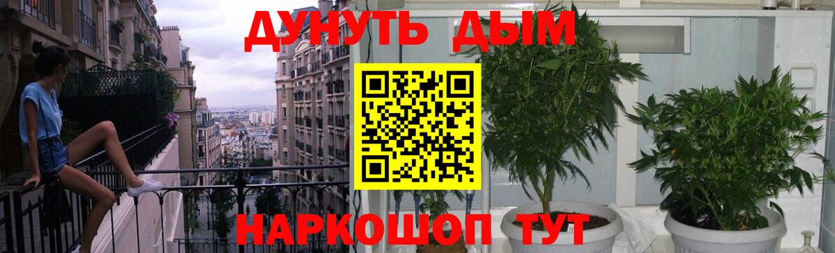 Белово  Каннабис гибрид  Бошки марихуана сатива  Каннабис тримм  Шишки марихуана THC 21%  Вход с VPN 