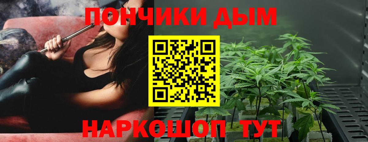 Шишки марихуана сатива Белово